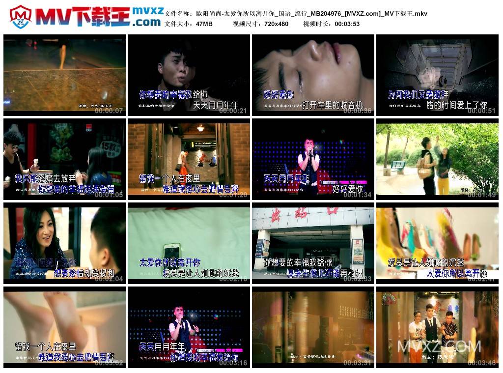 欧阳尚尚-太爱你所以离开你_国语_流行_MB204976